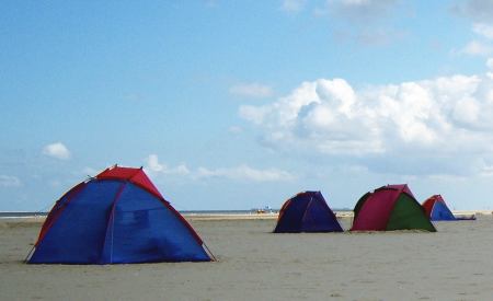 strandmuschel bestenliste