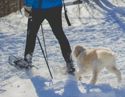 laufen mit schneeschuhen